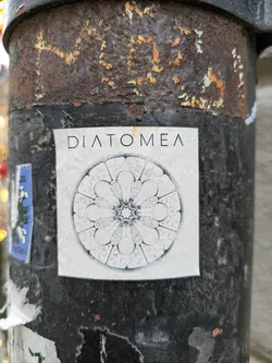 A sticker featuring a detailed circular design resembling a diatom or similar microscopic organism. The word "DIATOMEA" is printed at the top in a minimalist sans-serif font.
