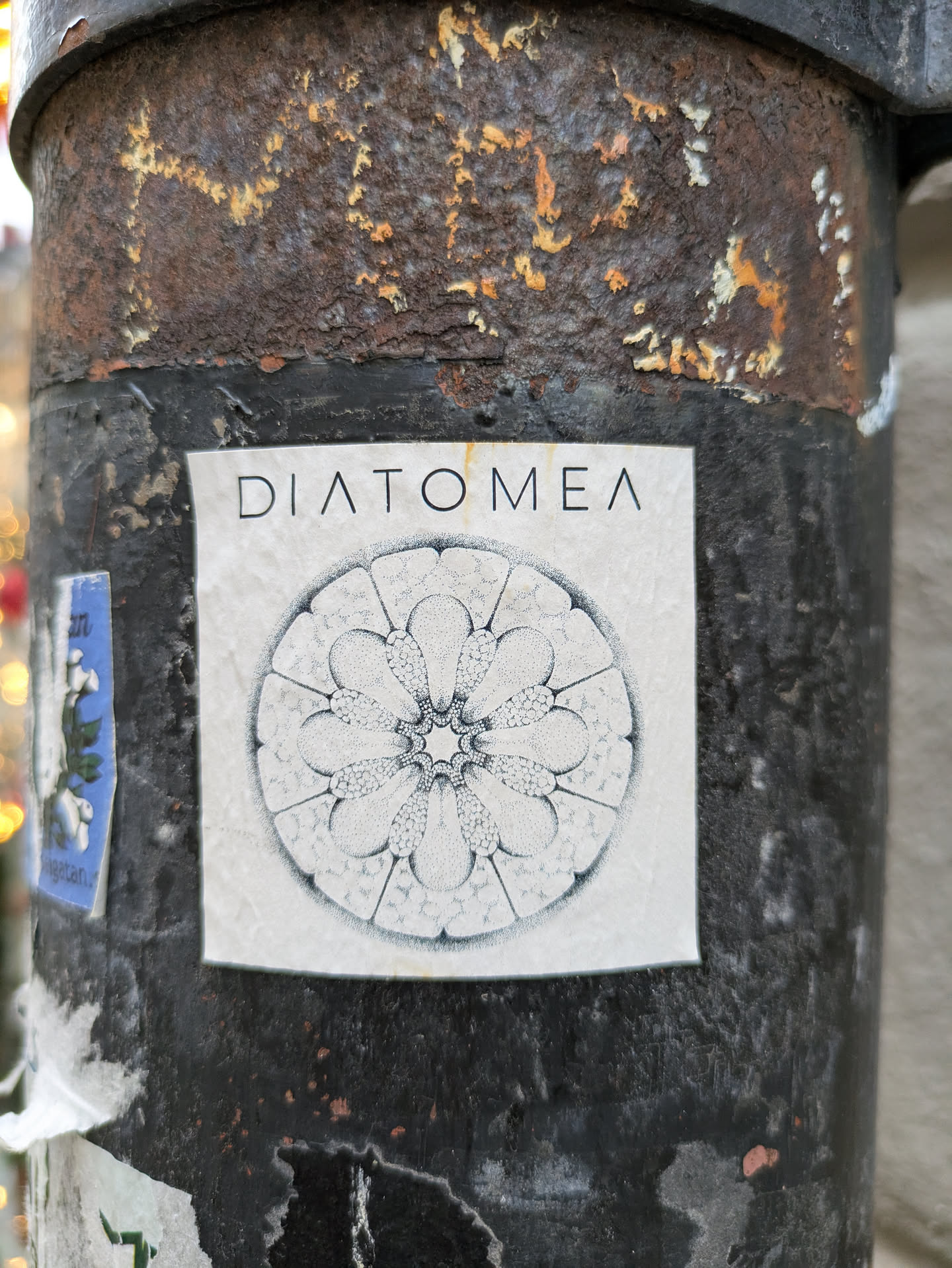 A sticker featuring a detailed circular design resembling a diatom or similar microscopic organism. The word "DIATOMEA" is printed at the top in a minimalist sans-serif font.