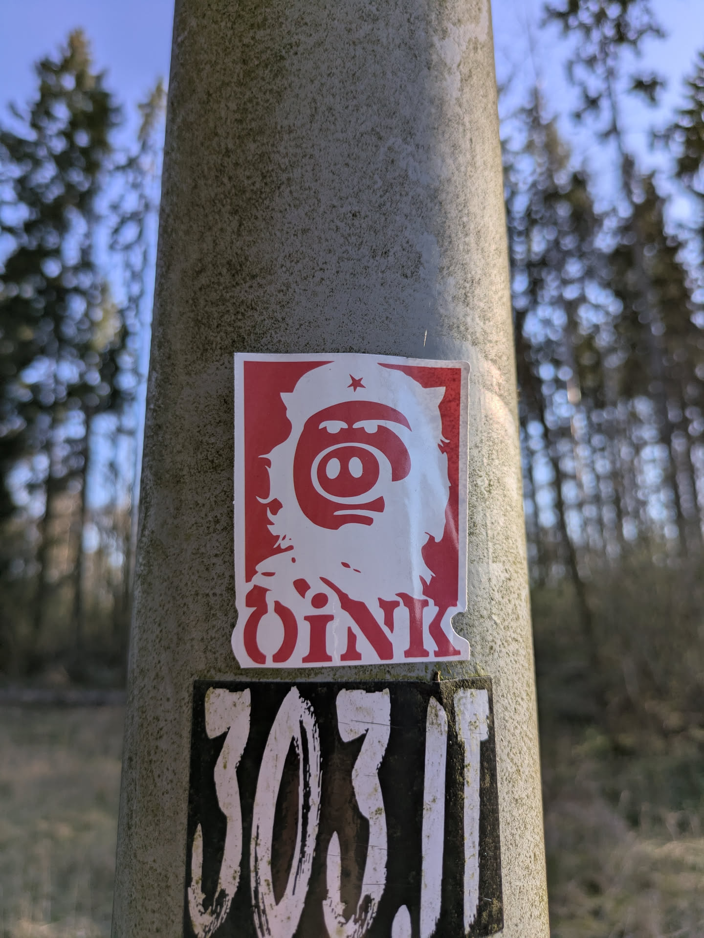 The sticker shows a pig's head wearing a revolutionary style hat with a red star. Below the pig is the text "OINK" also in red. The sticker is on a concrete pole.