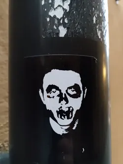 A black and white sticker featuring a stylized skull face. The skull is depicted on a dark background, with the skull's features being clearly defined in white. The sticker has a slightly distressed look, and it is adhered to a dark surface.