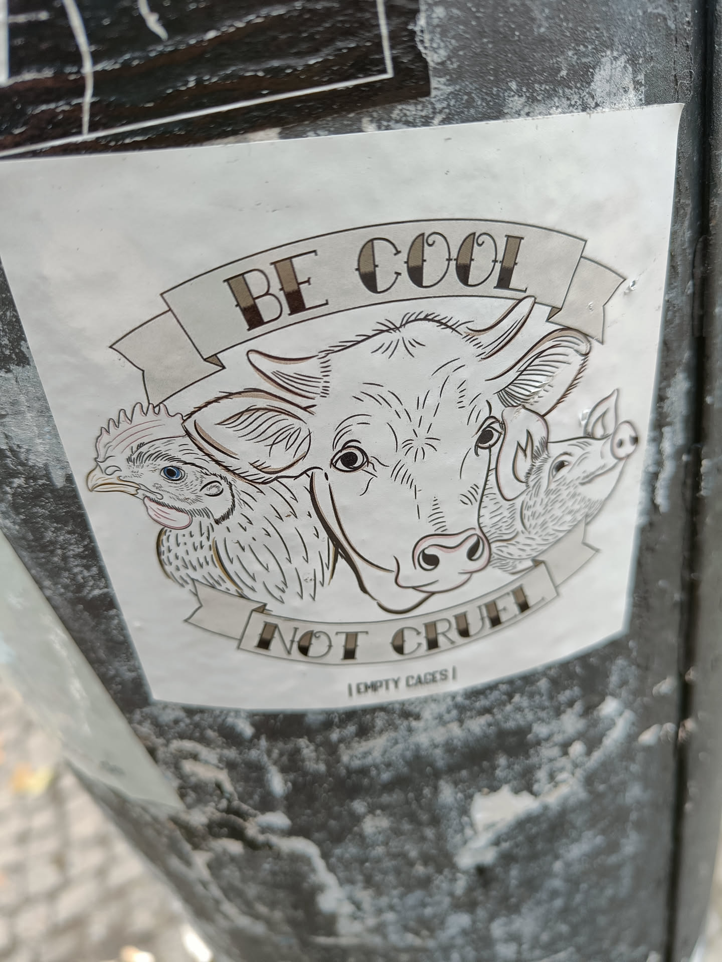Sticker featuring a cow, chicken, and pig with the text 'Be Cool Not Cruel' and 'Empty Cages'. 