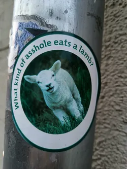 A round sticker with a picture of a lamb in the center and text surrounding it. The text asks "What kind of asshole eats a lamb?"