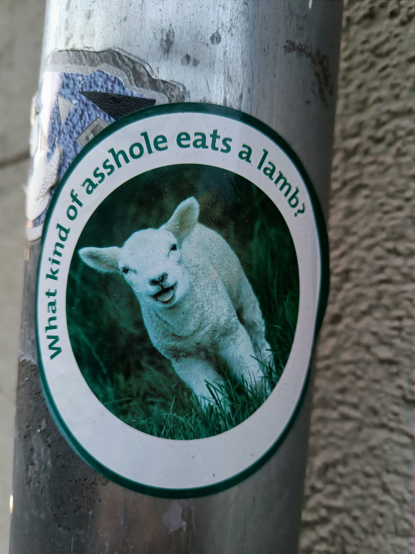 A round sticker with a picture of a lamb in the center and text surrounding it. The text asks "What kind of asshole eats a lamb?"