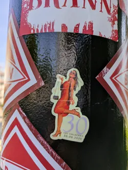 The sticker features a cheerful woman in a flowing orange dress and sunglasses, posing dynamically with a small black purse. A subtle light green aura or ring encircles her. Below the figure, the large number "30" is prominently displayed in light purple, accompanied by the text "LVL UNLOCKED" and the date "30.06.2025", indicating a future 30th birthday celebration with a gaming achievement motif. The sticker has a light green outline and is placed on a textured black surface.