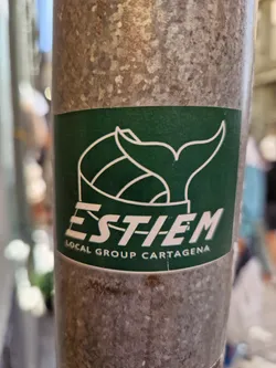 Green sticker with a stylized whale tail and the text "ESTIEM LOCAL GROUP CARTAGENA".