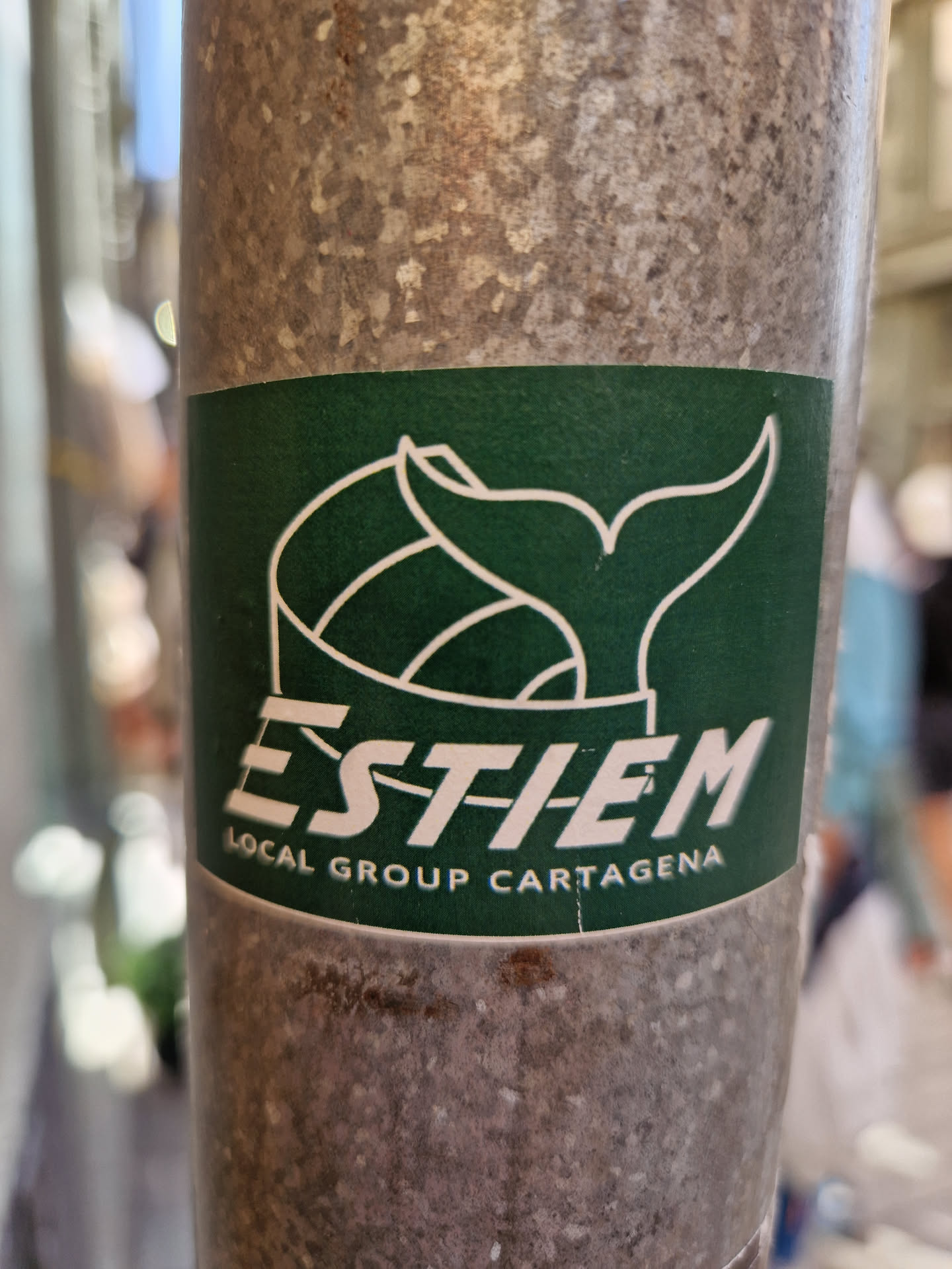 Green sticker with a stylized whale tail and the text "ESTIEM LOCAL GROUP CARTAGENA".