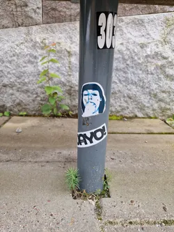 A sticker featuring a stylized portrait and the word AYO! is affixed to a gray pole. The pole also has another sticker with the number 303 on it.