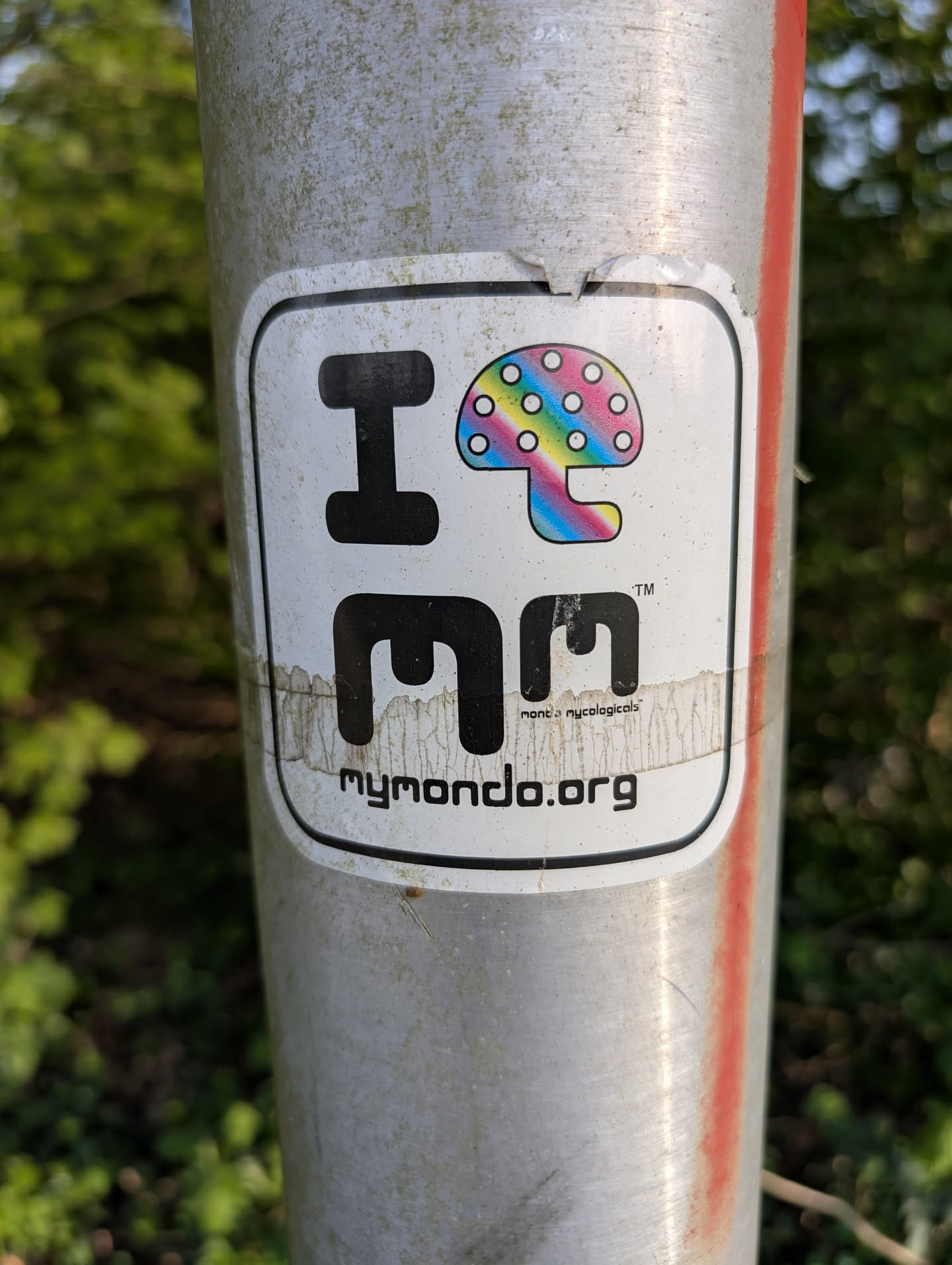 A white sticker with the words "I Mondo" and a rainbow mushroom. The sticker promotes mymondo.org. It is affixed to a metal pole.