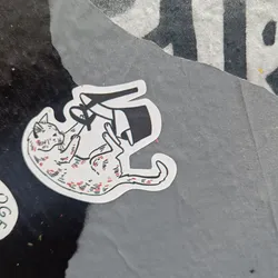 A sticker featuring a cartoon drawing of a cat playfully interacting with a high heel shoe. The cat is depicted in a dynamic pose, suggesting movement and interaction. The style is simple, with black outlines and minimal color accents.
