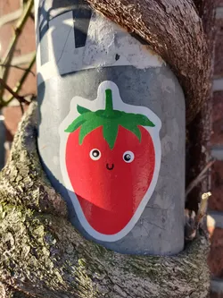 This is a sticker of a happy strawberry with a simple design. The strawberry is red with a green top and has two simple eyes and a smile. It's stuck on a grey metal pole that is wrapped in tree roots.
