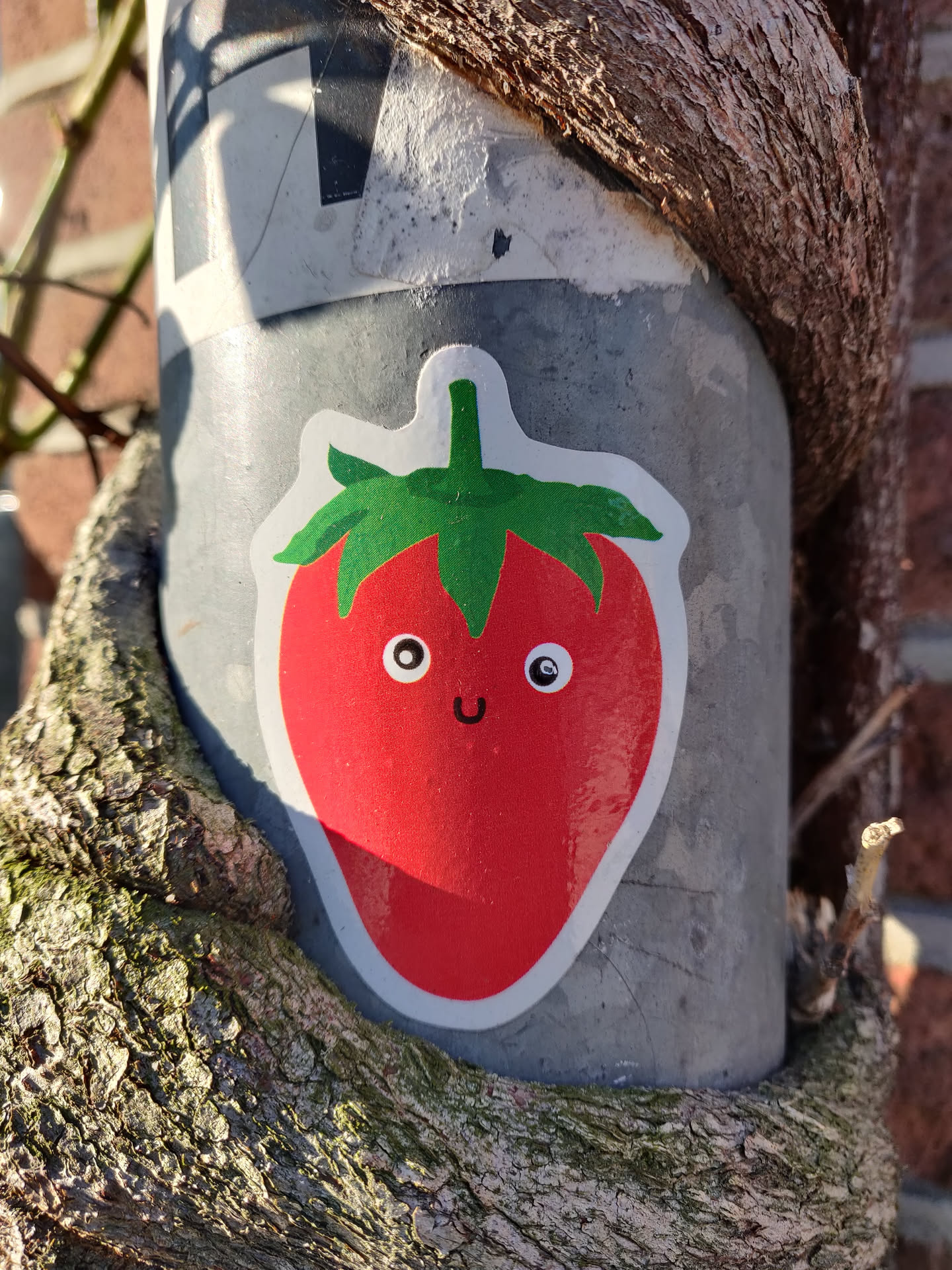 This is a sticker of a happy strawberry with a simple design. The strawberry is red with a green top and has two simple eyes and a smile. It's stuck on a grey metal pole that is wrapped in tree roots.