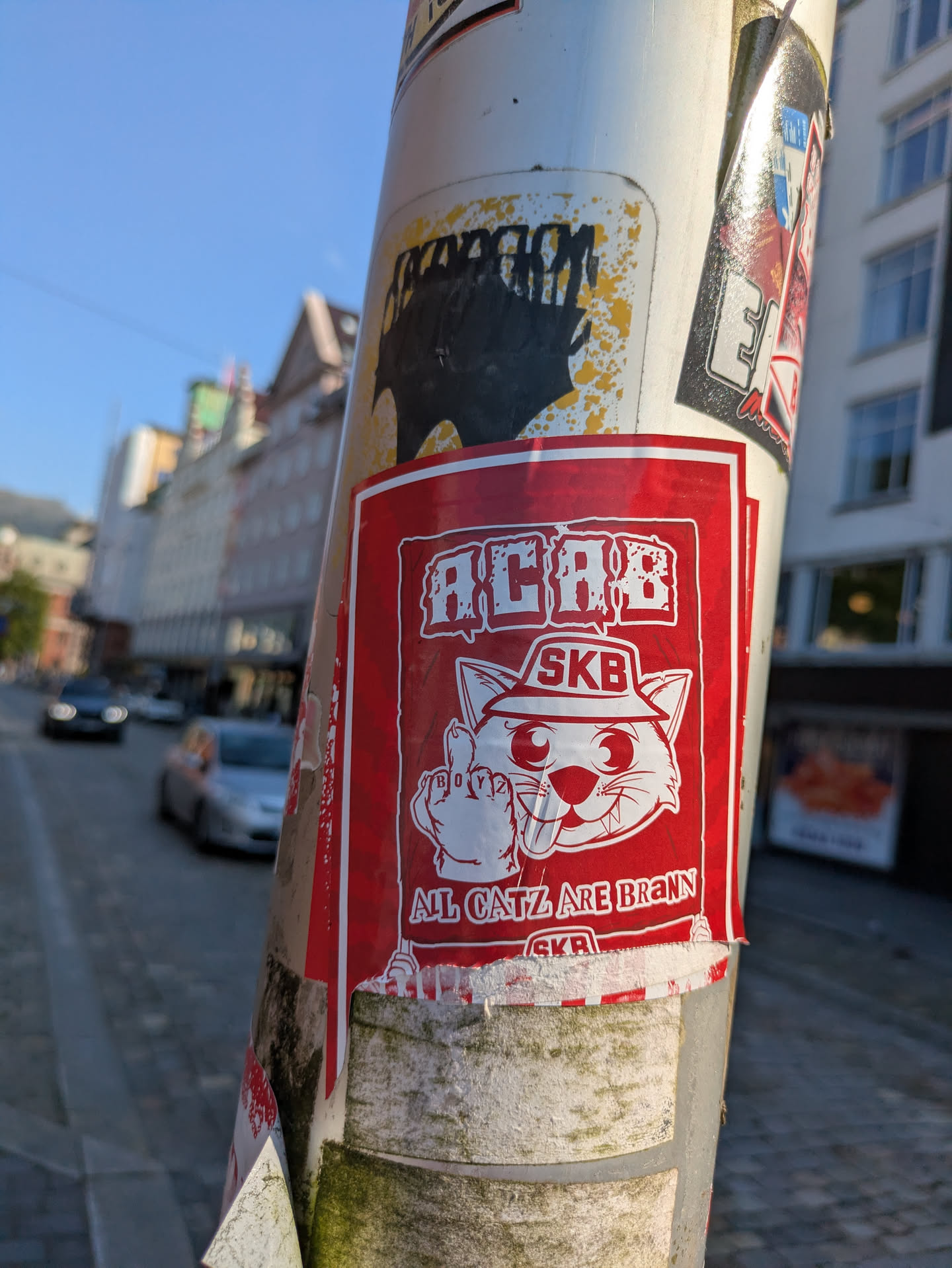 A red rectangular sticker featuring a white cartoon cat wearing a hat, giving the middle finger. The cat has a wide, mischievous smile with its tongue sticking out and sharp teeth visible. The text "ACAB" is prominently displayed at the top, and "SKB" is written on the cat's hat. On the knuckles of the extended middle finger, the word "BOYZ" is visible. Below the cat, the phrase "ALL CATZ ARE BRANN" is written, followed by "SKB". The sticker is affixed to a weathered white pole, surrounded by remnants of other stickers and showing signs of wear. The background suggests an urban street setting with buildings and cars.
