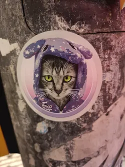 A round sticker featuring a grey tabby cat wearing a purple hooded sweatshirt with stars. The cat has bright green eyes and a calm expression. The background of the sticker is a soft pink gradient.
