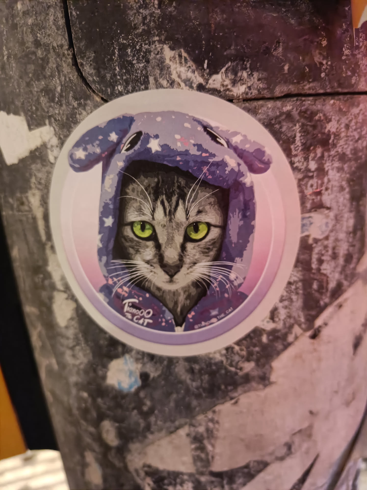 A round sticker featuring a grey tabby cat wearing a purple hooded sweatshirt with stars. The cat has bright green eyes and a calm expression. The background of the sticker is a soft pink gradient.