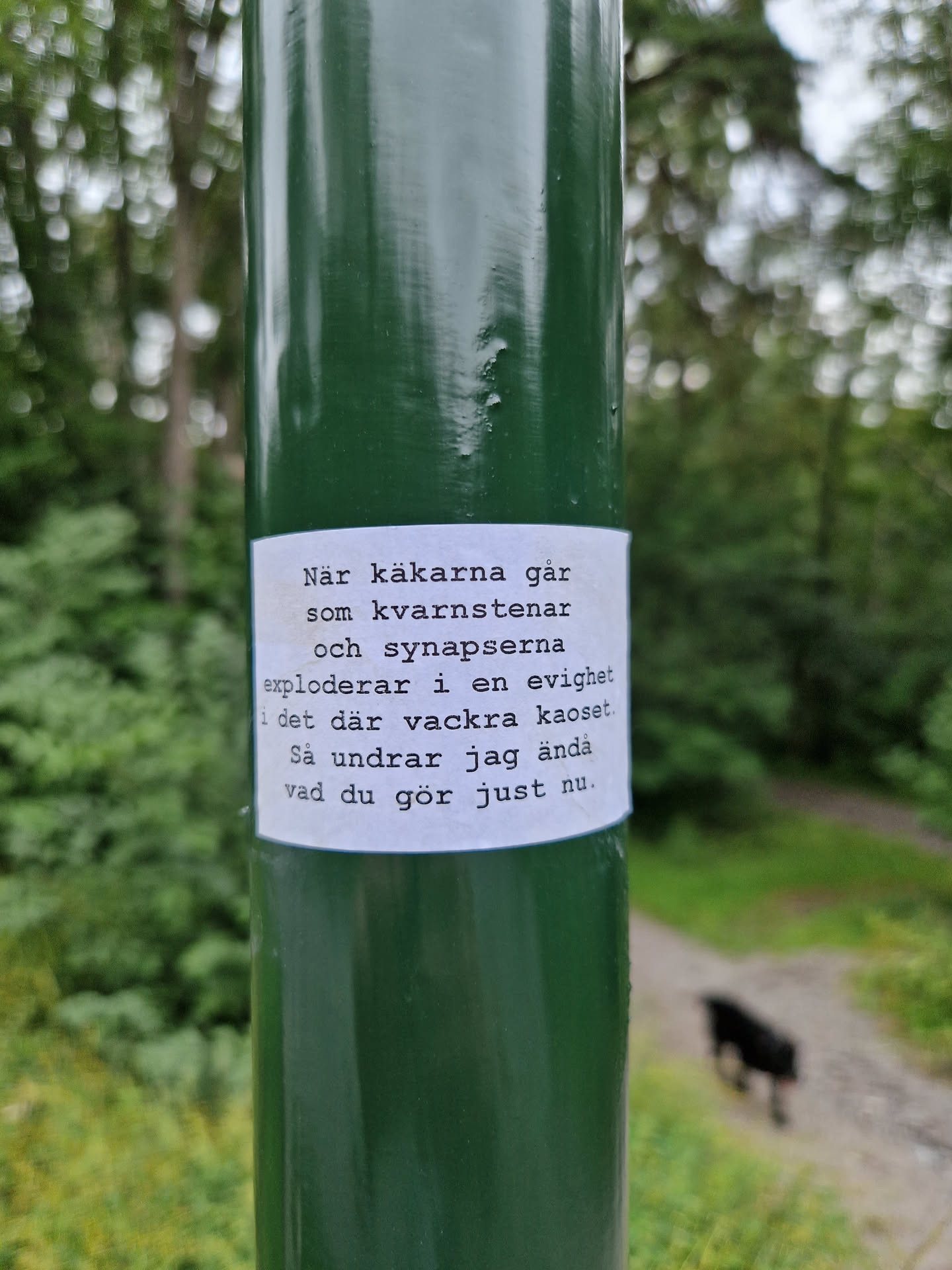 A white sticker with black text on it. The text is a poem written in Swedish. It is attached to a dark green pole in a natural environment. A dog can be seen in the background. 