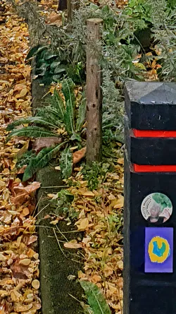 This image showcases a black post adorned with two stickers. The focus is on the lower sticker which is rectangle shaped and features a vivid blue shape outlined in yellow, set against a purple background. Above it, there's a round sticker with text visible. The post stands amidst a backdrop of fallen leaves and foliage, adding an autumnal touch to the scene.