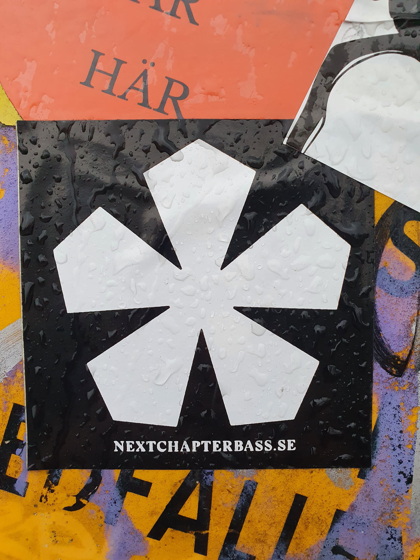 A black and white sticker with a unique flower-like design and the website nextchapterbass.se. The sticker is wet from the rain, adding a unique texture to the image. 