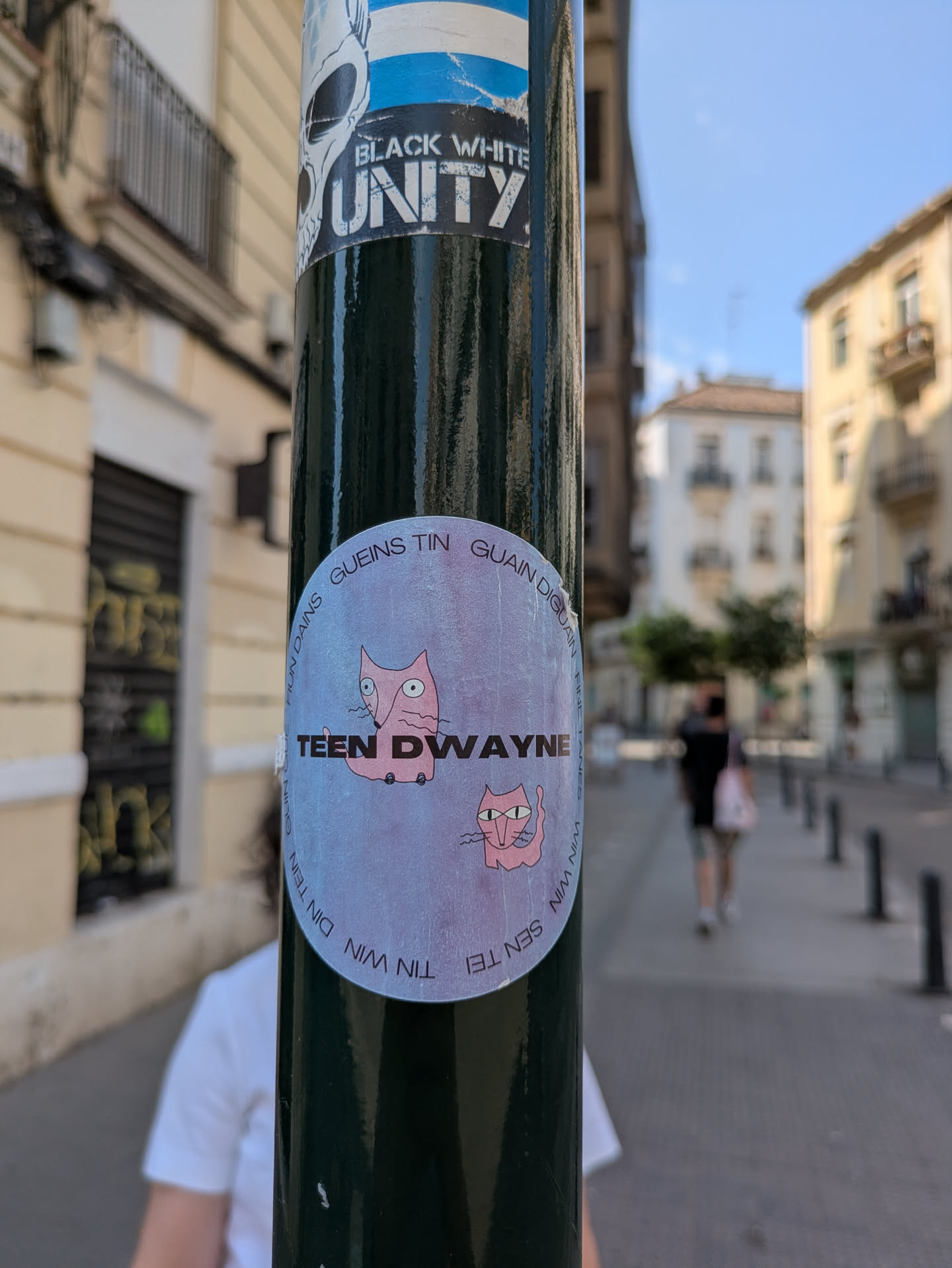 This oval sticker is adhered to a dark green pole. It features two cartoon cats in pink on a light purple background. The text reads "TEEN DWAYNE" in bold capital letters and a phrase wraps around the perimeter of the design.