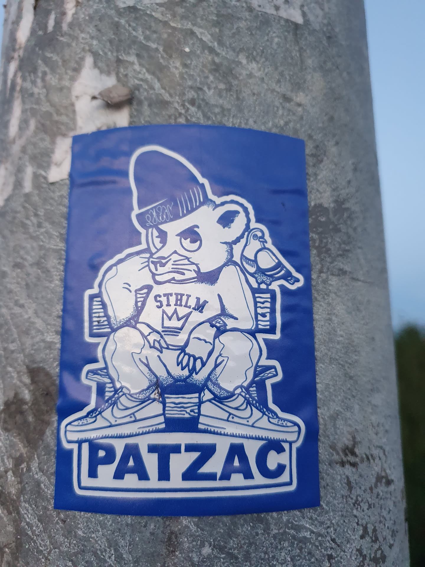 A blue sticker featuring an illustration of a bear wearing a beanie, sitting on a box, and wearing Nike Air Force 1's.  The bear is wearing a shirt that says "STHLM" and has a crown above the lettering. The word "PATZAC" is printed in a large font at the bottom of the sticker. A bird is perched on the bear's shoulder. The style is reminiscent of streetwear and urban art.