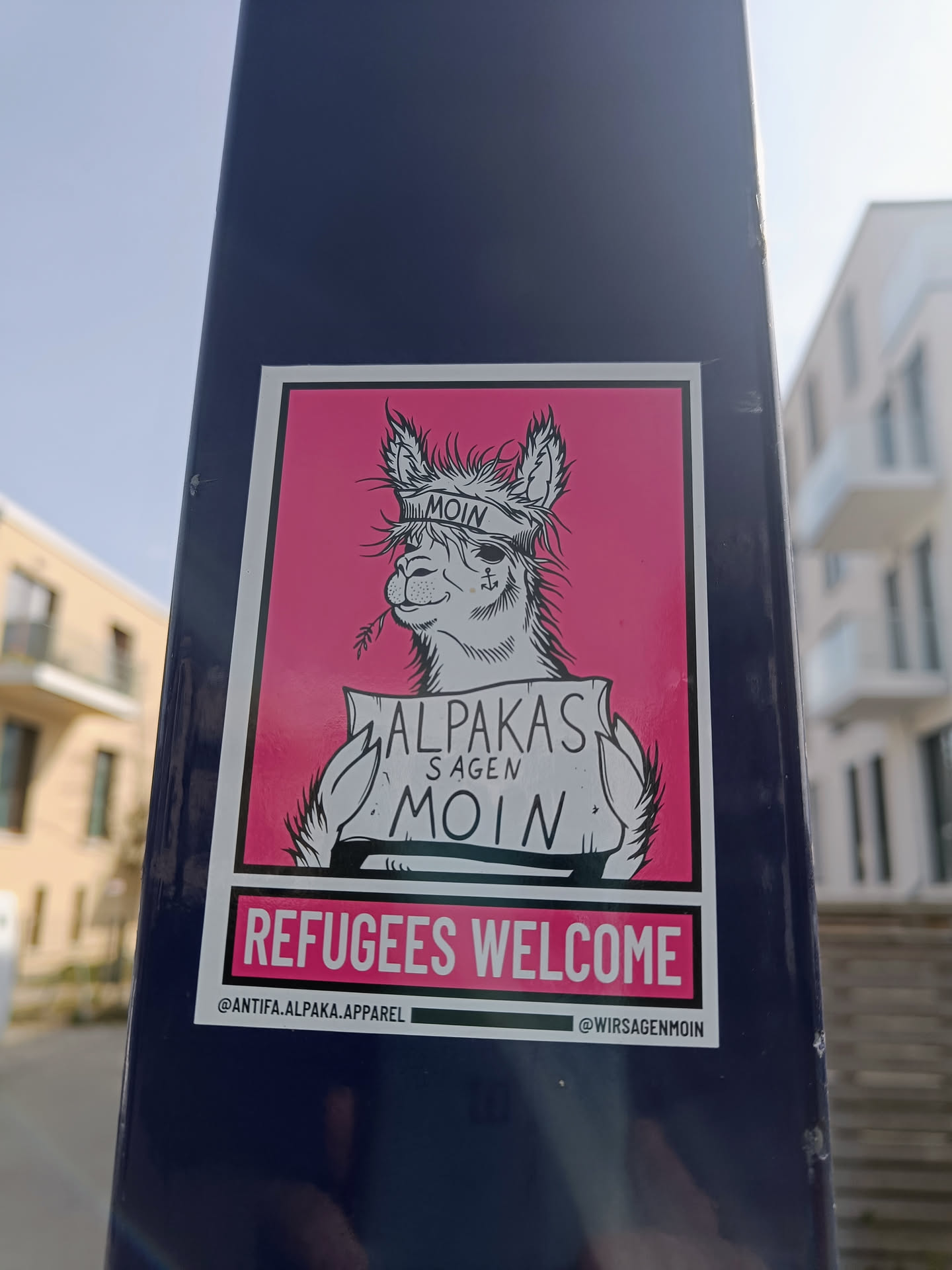A sticker featuring an illustration of an alpaca wearing a sailor hat with the word "Moin" on it, holding a sign that says "Alpakas sagen Moin."  The sticker also has the text "Refugees Welcome" at the bottom.  The sticker has two social media handles.