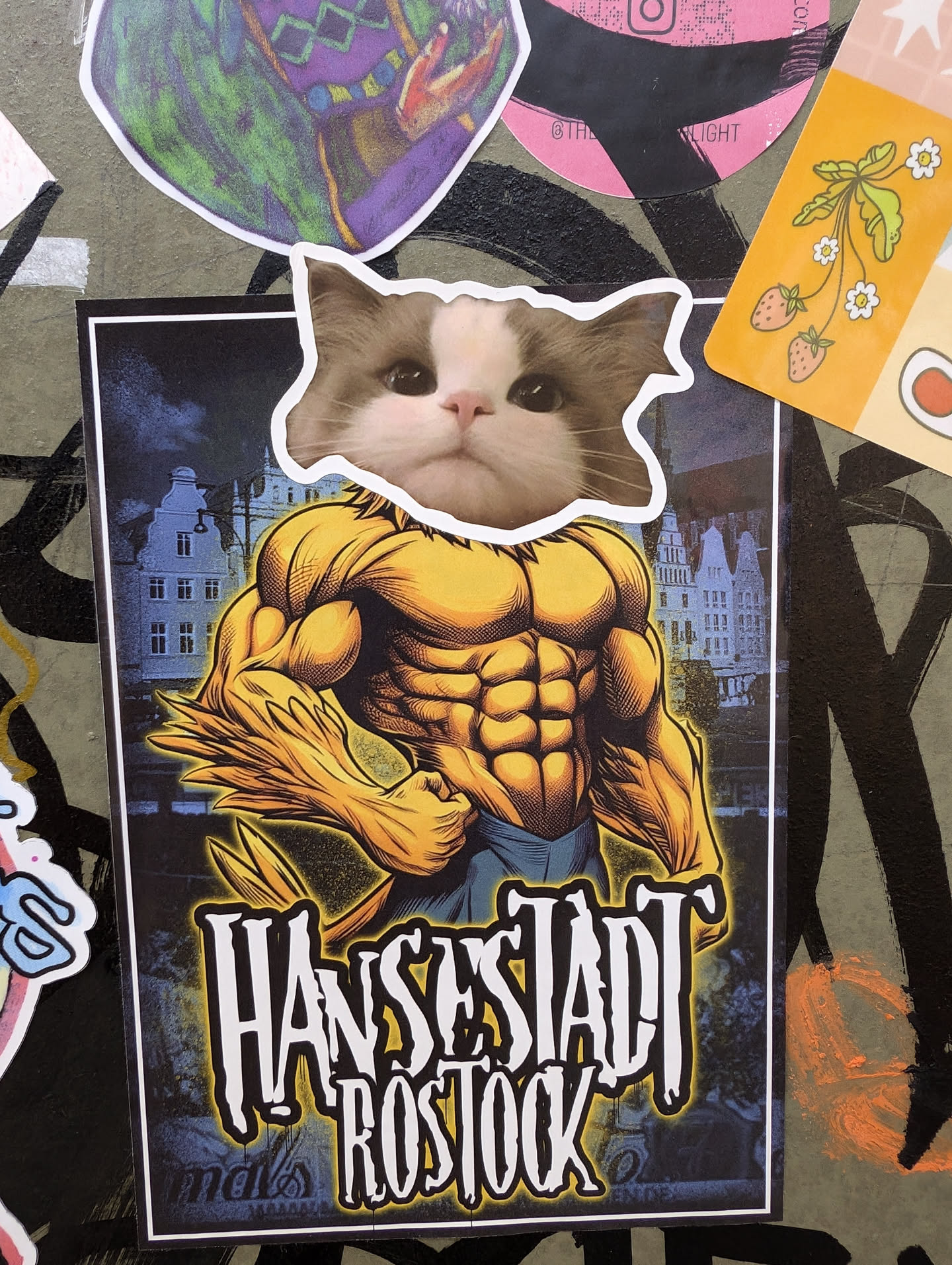 Sticker featuring a muscular body with a Ragdoll cat's head. The background features a city landscape, possibly Rostock, Germany.  The text 'Hansestadt Rostock' is prominently displayed.
