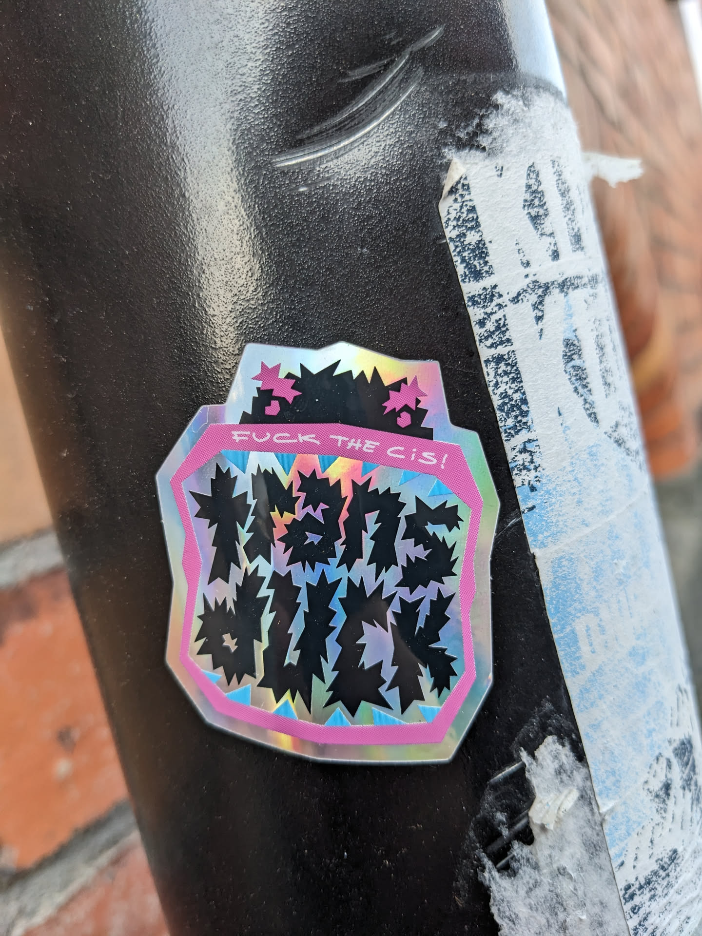 A holographic sticker with a pink border and black text. The text says "Trans rights!" and "Fuck the cis!"