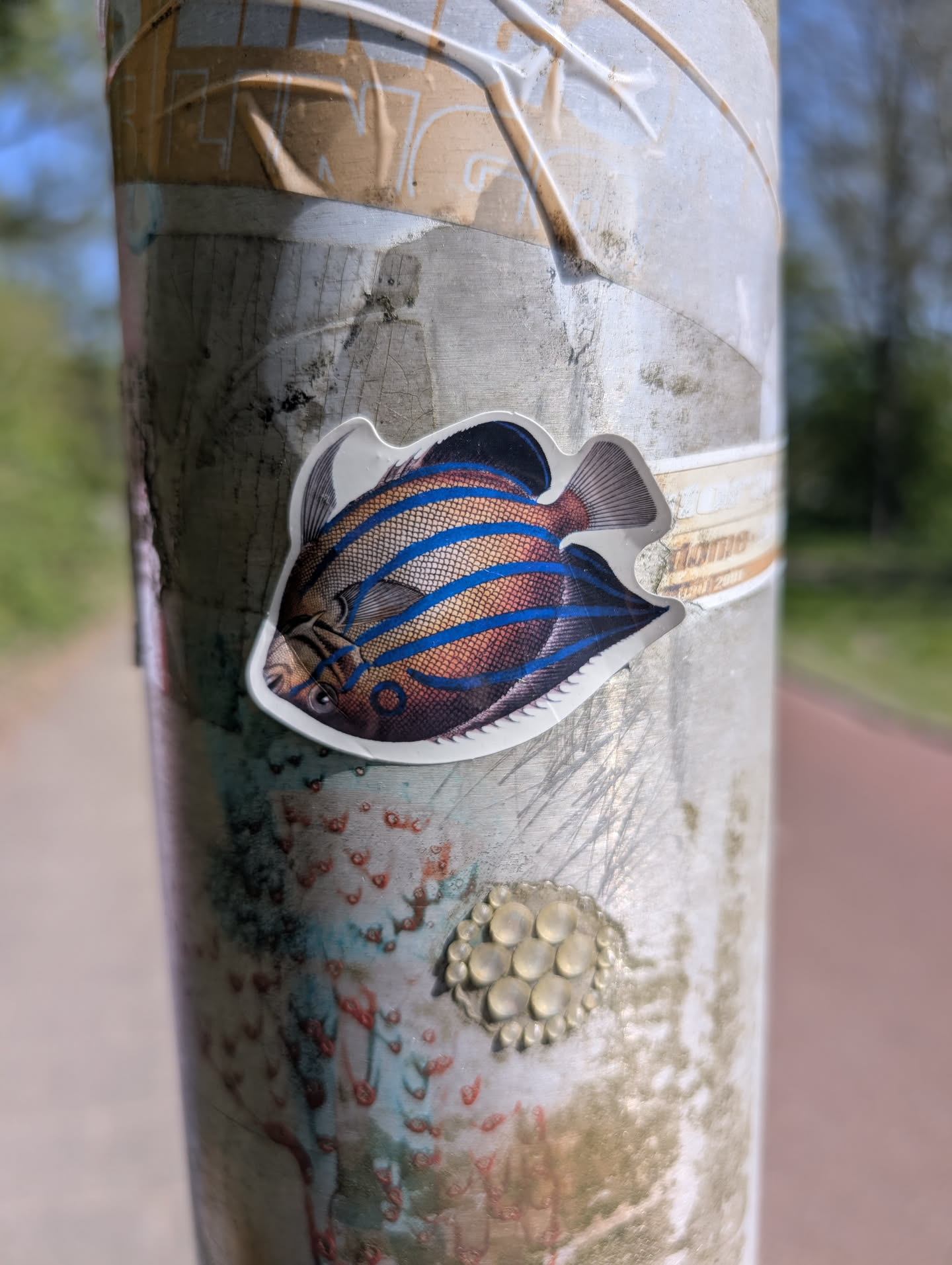 A sticker of a vividly colored fish is stuck to a pole. The fish has a blue-striped pattern, orange and dark blue colors. The pole itself is covered in layers of other materials, including remnants of other stickers and a decorative element composed of small, clear, round shapes. The background is blurred.
