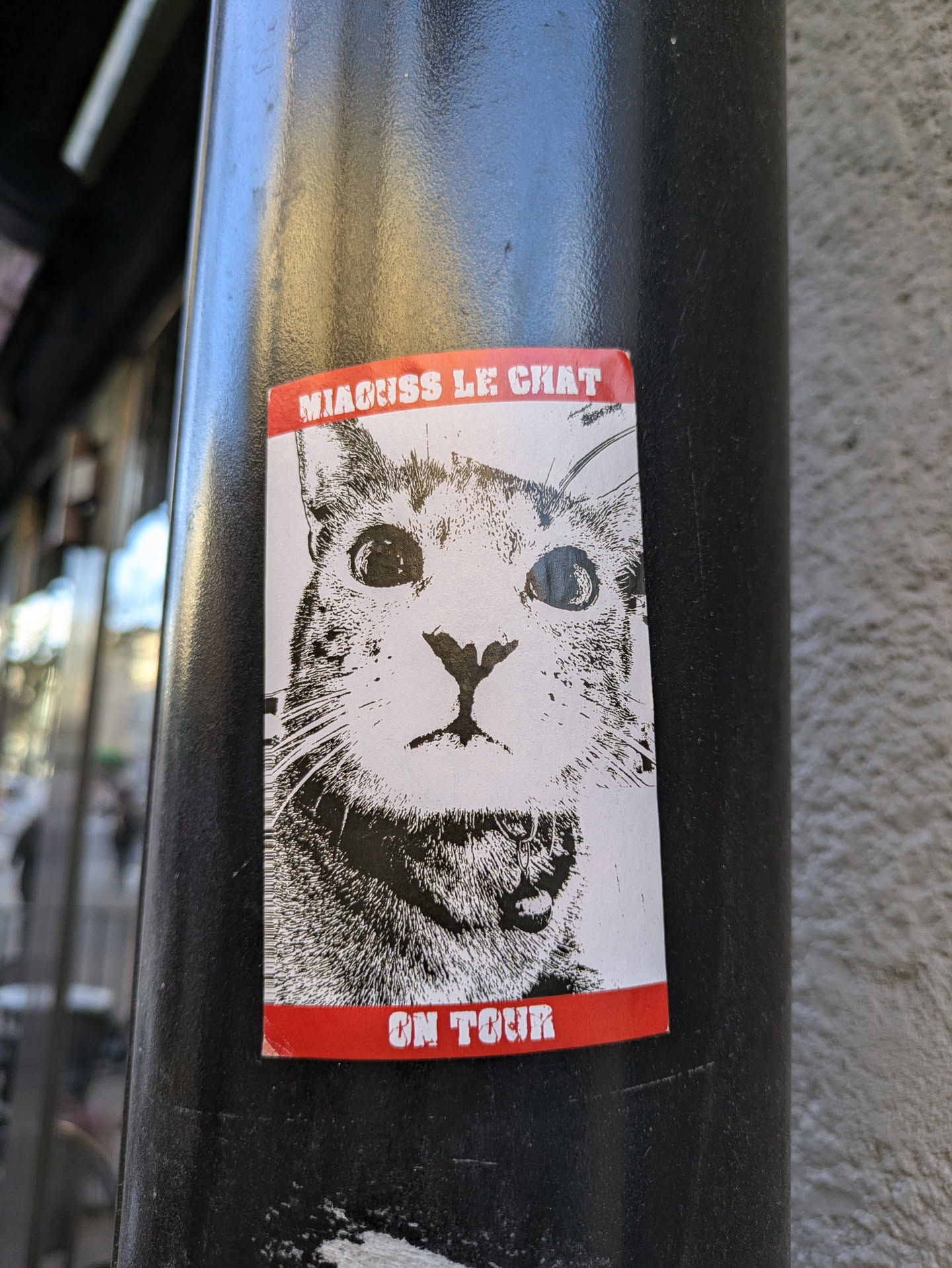 Black and white sticker featuring a close-up of a cat's face. The text 'NARCISS LE CHAT' is at the top, and 'ON TOUR' is at the bottom, both in white on a red background.