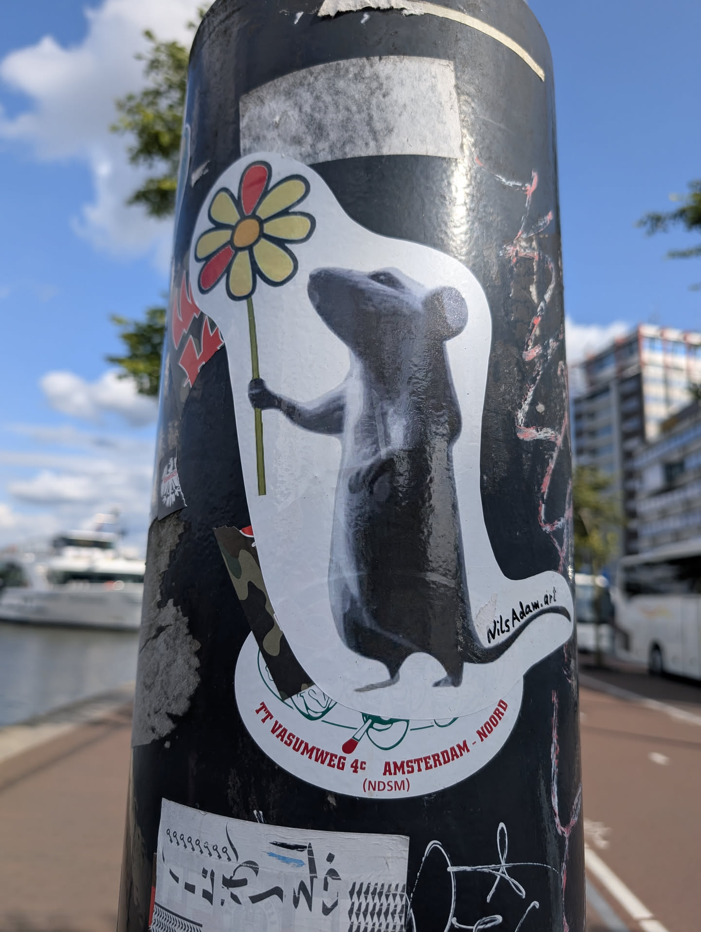 The sticker depicts a gray rat standing upright and holding a flower. The sticker is placed on a black pole along with other stickers. The rat has a solemn expression and appears to be presenting the flower. Another sticker mentions "TT VASUMWEG 4c AMSTERDAM - NOORD (NDSM)". The style of the rat sticker is distinct, suggesting a specific artist.