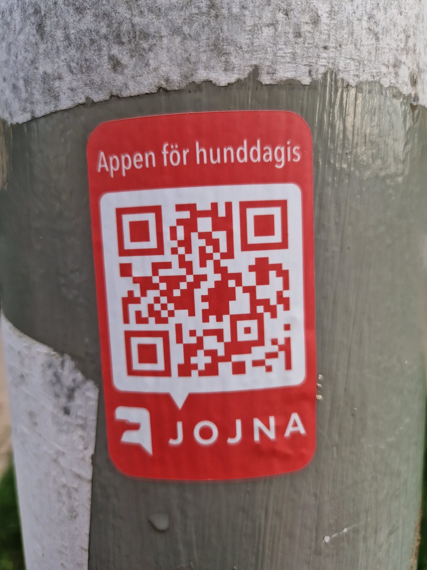 Red and white sticker with a QR code and the text "Appen för hunddagis" which translates to "The app for dog daycare" in Swedish.  The logo for the Jojna app is also present at the bottom. 