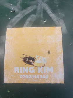 A yellowish square sticker with an illustration of a wasp and text. The text includes the name "RING KIM" and a phone number: 0702314364. 