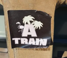 A black sticker with a large letter A, palm trees, and a flamingo. The word "TRAIN" is written below the letter A. The sticker has a slightly worn appearance.