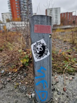 A black and white sticker of a skull inside a spiderweb is affixed to a gray metal pole. There are other stickers and graffiti on the pole. The pole is outdoors in an urban environment with buildings in the background.