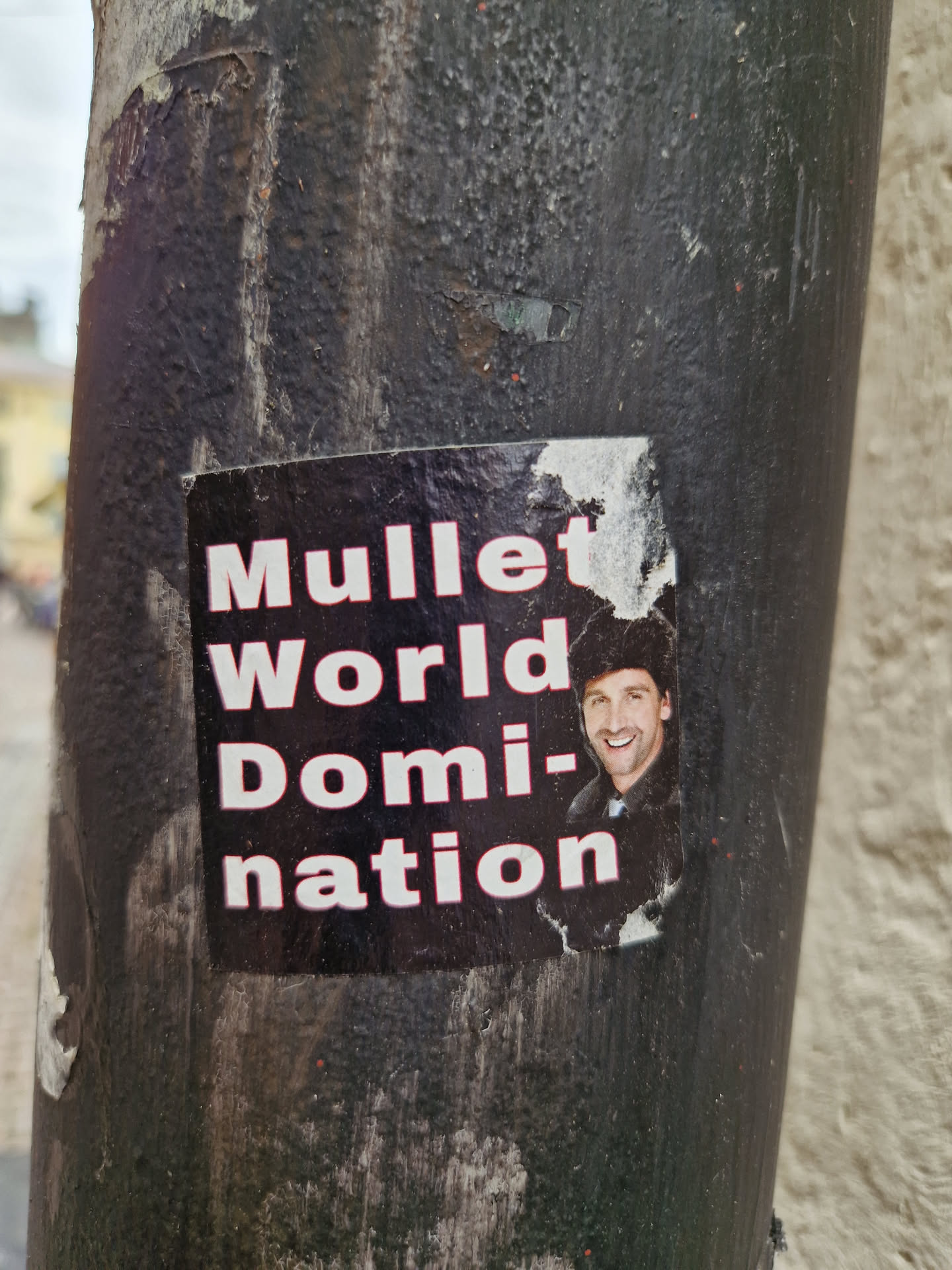 A sticker featuring a man with a mullet and the text "Mullet World Domination".