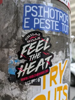 A black and white sticker with "CHILLI HILLS" on top and the text "FEEL THE HEAT" in a stylized font. The sticker has a red website address at the bottom.