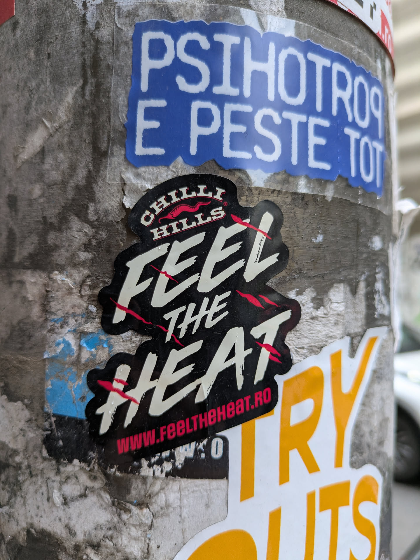 A black and white sticker with "CHILLI HILLS" on top and the text "FEEL THE HEAT" in a stylized font. The sticker has a red website address at the bottom.