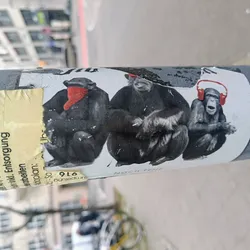 A sticker featuring three chimpanzees in different poses. One chimp seems to be wearing a red hat or scarf, another appears to be holding or cuddling something, and the third chimp is wearing headphones. The sticker has a slightly worn look, suggesting it's been exposed to the elements. The style is illustrative and somewhat whimsical.