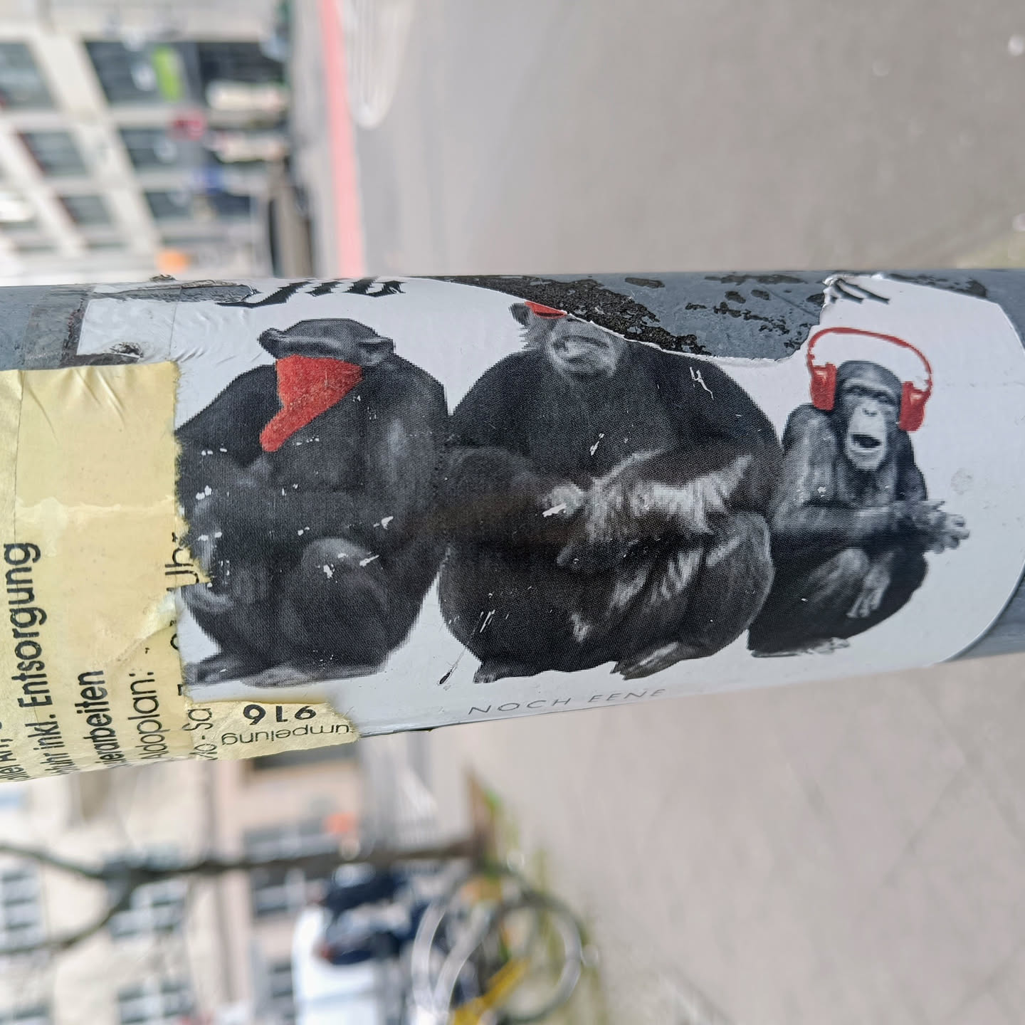A sticker featuring three chimpanzees in different poses. One chimp seems to be wearing a red hat or scarf, another appears to be holding or cuddling something, and the third chimp is wearing headphones. The sticker has a slightly worn look, suggesting it's been exposed to the elements. The style is illustrative and somewhat whimsical.