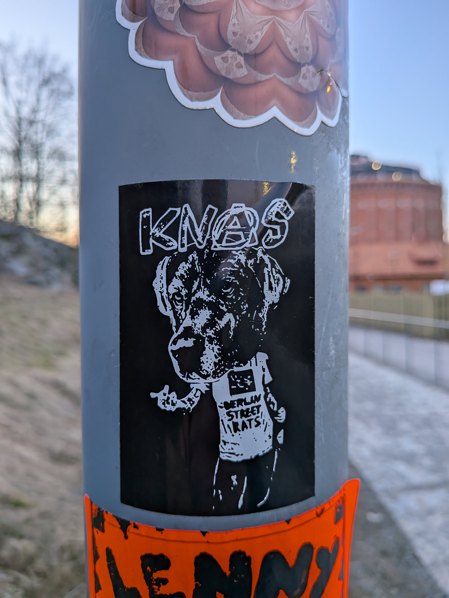 The sticker is rectangular, featuring a high-contrast black background with white imagery. It depicts a stylized, somewhat aggressive-looking dog, possibly a bulldog or similar breed, from the chest up. The dog is wearing a t-shirt that reads 'BERLIN STREET RATS' in a distressed, blocky font. The dog's left paw is raised, making a gesture that appears to be a middle finger. Above the dog's head, the word 'KNAES' is written in a similar distressed, blocky white font. The overall aesthetic is stark, gritty, and embodies a punk or street art style.