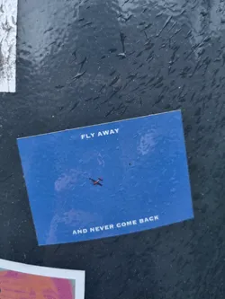 Street sticker A blue sticker with a small red airplane in the middle and text at the top and bottom. The text on the sticker says "FLY AWAY" at the top and "AND NEVER COME BACK" at the bottom.