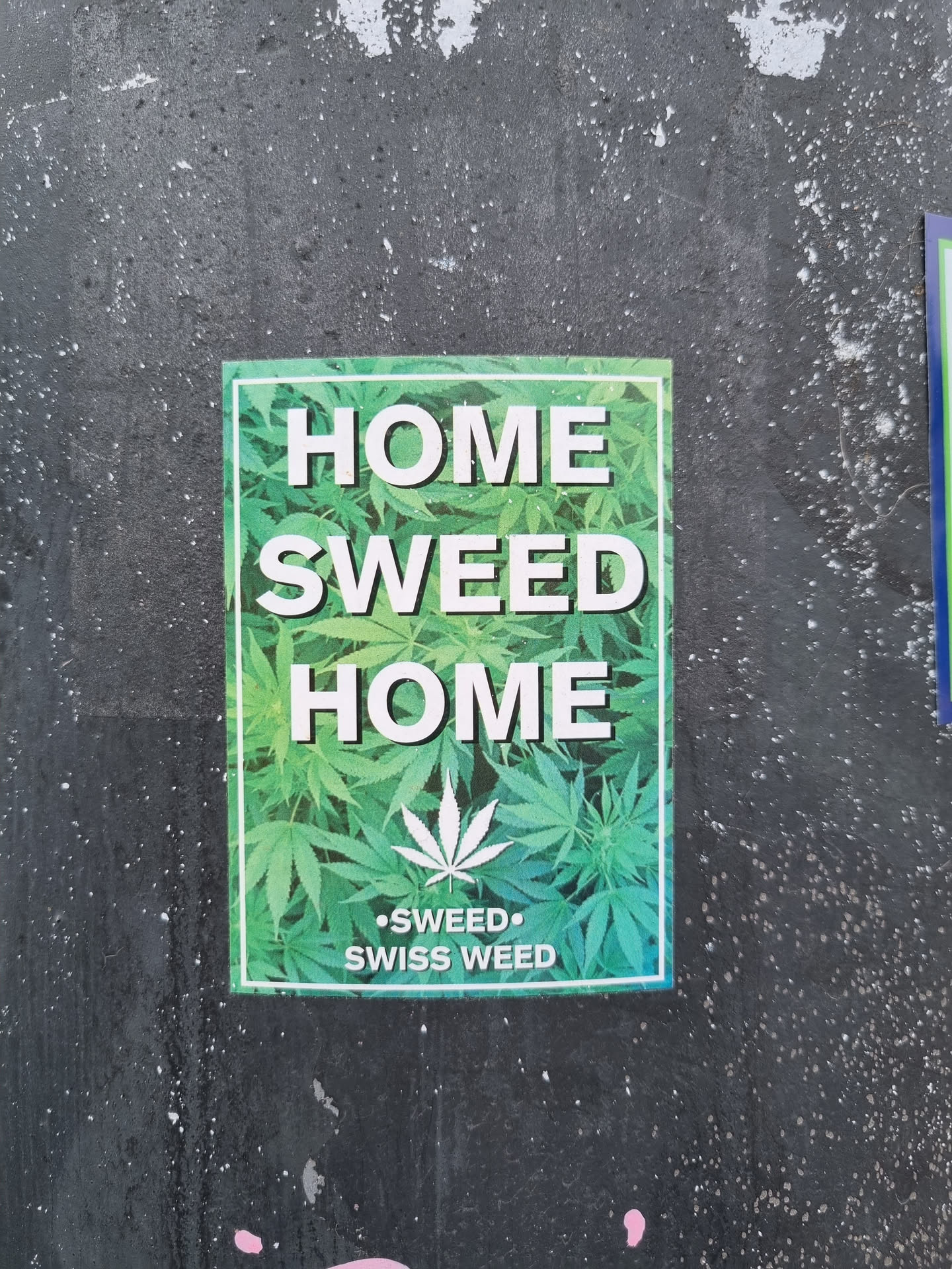 A sticker with a cannabis leaf design and the text "HOME SWEED HOME" and "SWISS WEED".