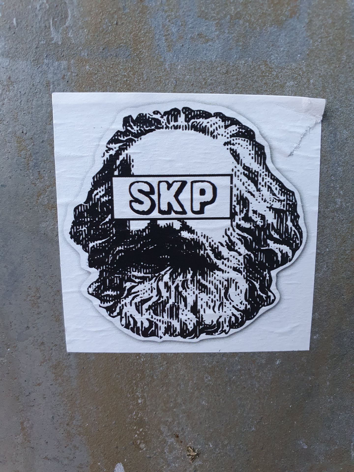 A sticker featuring a black and white illustration of a head, possibly a classical bust, with the letters "SKP" boldly printed across the forehead in a rectangular banner.  The style is reminiscent of woodcut prints. The sticker is affixed to a gray concrete surface.