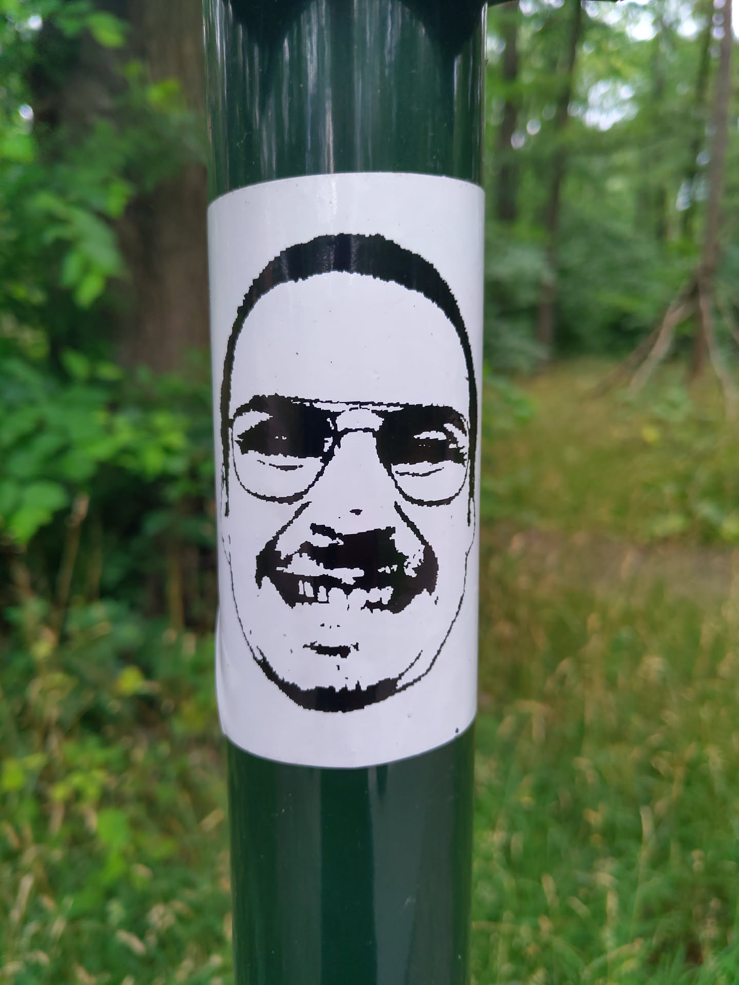 This sticker features a close-up, black and white illustration of a man's face. He is wearing glasses and has a mustache. The style is simple and slightly reminiscent of pop art. The sticker is affixed to a dark green pole in a natural outdoor setting.