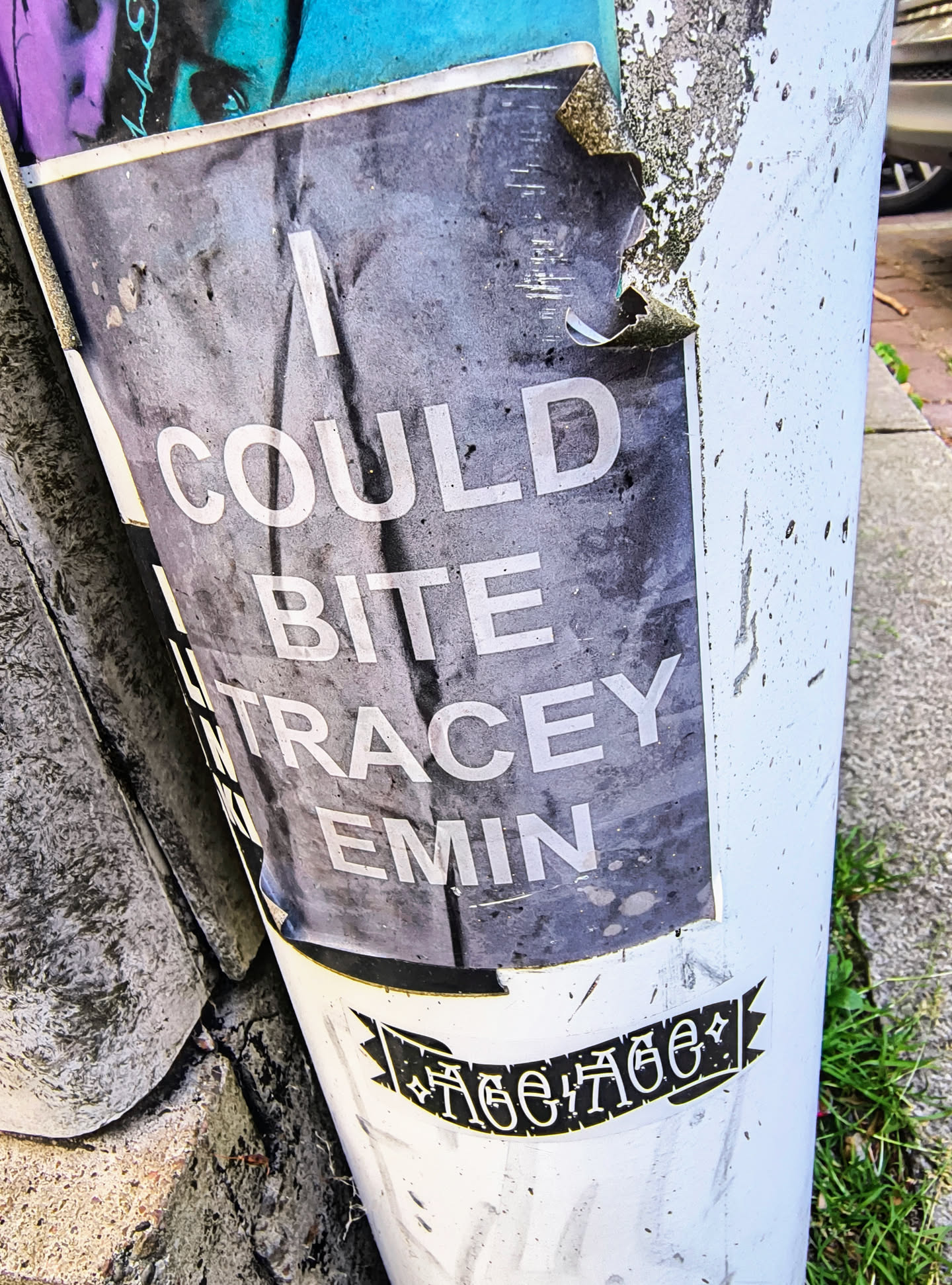 A sticker on a pole that reads 'I COULD BITE TRACEY EMIN'. The sticker is black and white, and there is another sticker below it with illegible text.