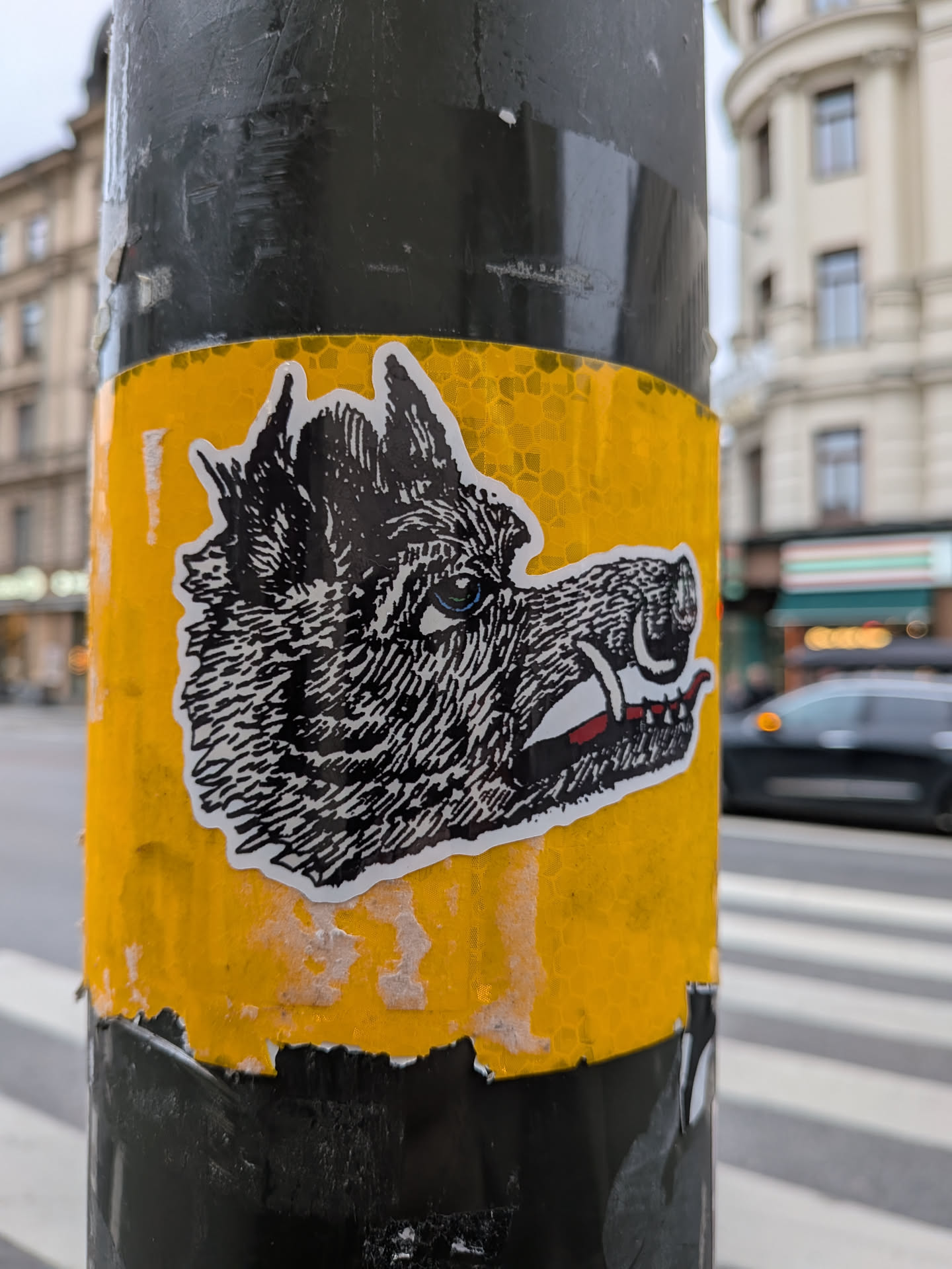 The sticker features a black and white illustration of a wolf's head in profile. The wolf has sharp teeth bared, a red tongue visible, and a piercing blue eye. The fur is depicted with intricate black lines. The sticker has a white border and is affixed to a yellow surface with a hexagonal reflective pattern. The edges of the sticker appear slightly worn.