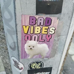 Sticker featuring a Pomeranian puppy with the text "BAD VIBES ONLY" in colorful letters on a purple background.