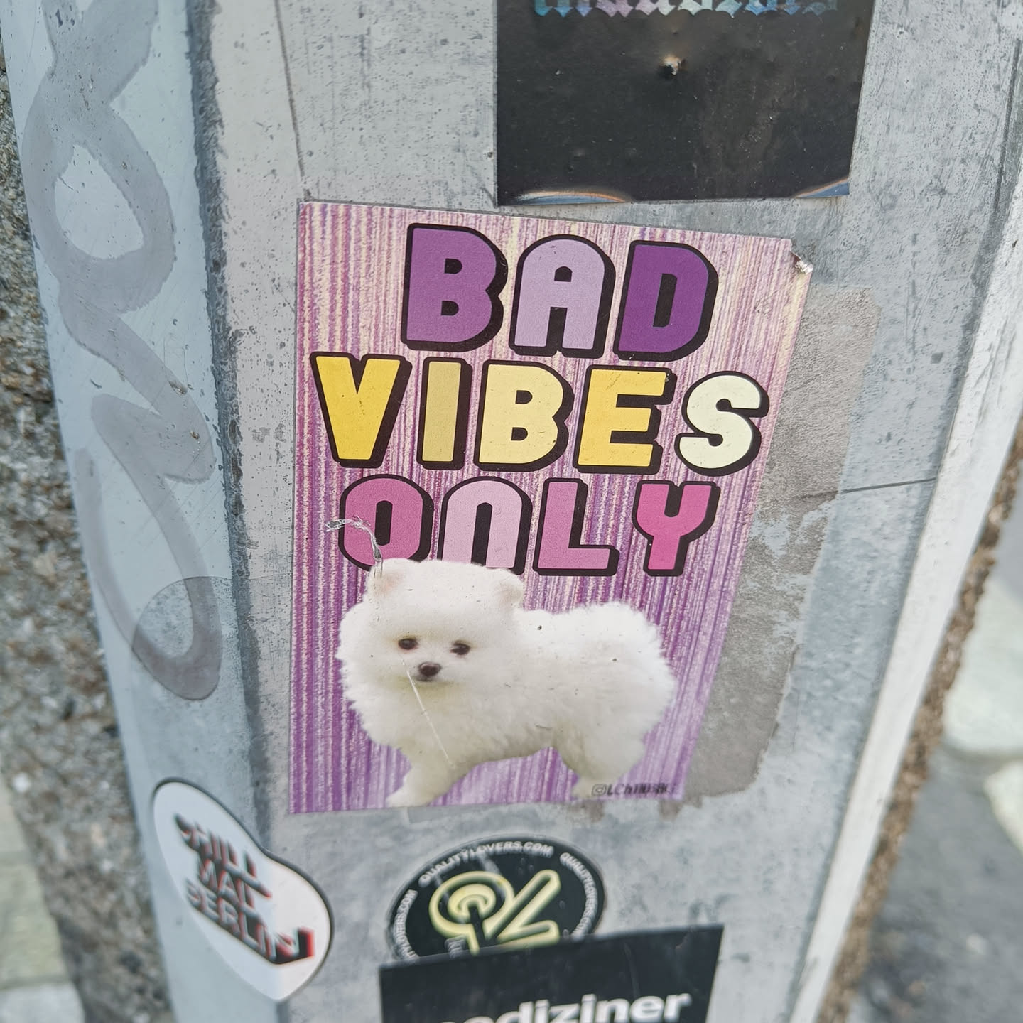 Sticker featuring a Pomeranian puppy with the text "BAD VIBES ONLY" in colorful letters on a purple background.
