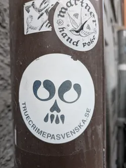 A round sticker with a minimalist skull design. The text "truecrimepasvenska.se" circles the skull.