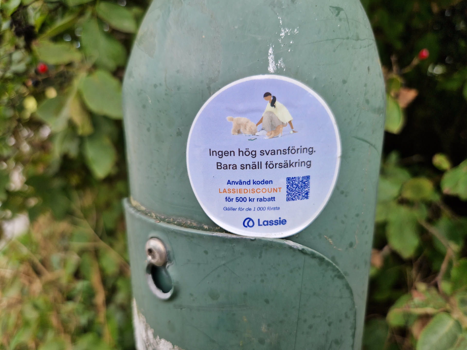 A round sticker featuring a woman picking up after her dog, promoting Lassie insurance with a discount code. The sticker is attached to a green pole outdoors.