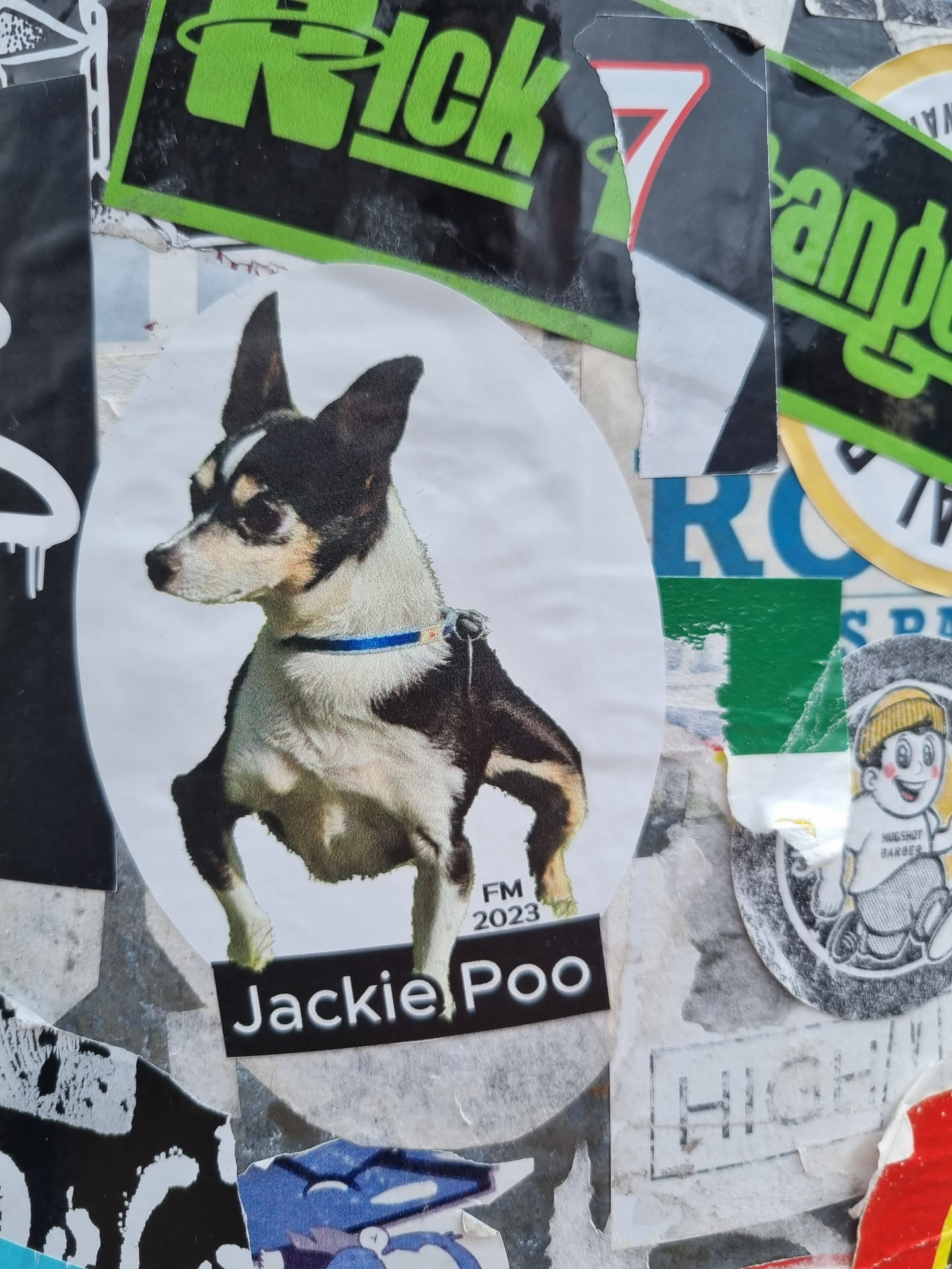 A sticker featuring a illustration of a black and white chihuahua dog. The text Jackie Poo is visible at the bottom, along with FM 2023.